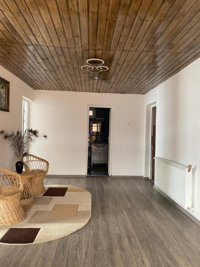 Hotel Casa Blendea Daniela Cîrţişoara Exterior foto